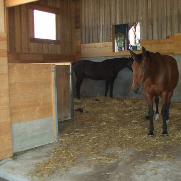 Bild: Stall in  Rederzhausen