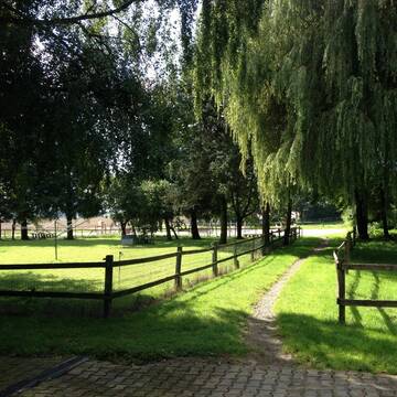 Bild: Stall in  Dornhan