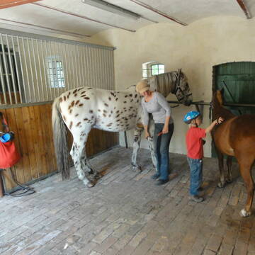 Putzplatz (Schlechtwetter))