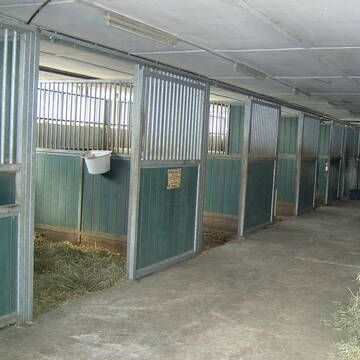 Stalltrakt hier 7 Boxen