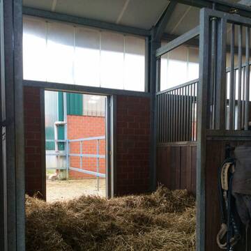 Außenbox mit Paddock