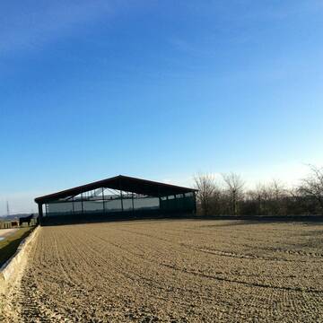 Außenreitplatz und Longierhalle
