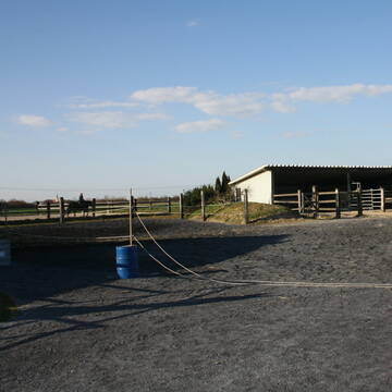 Bild: Stall in  Hohberg