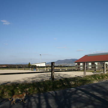 Bild: Stall in  Hohberg