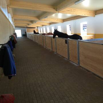 Bild: Stall in  Trebur