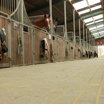 Bild: Stall in  Ense