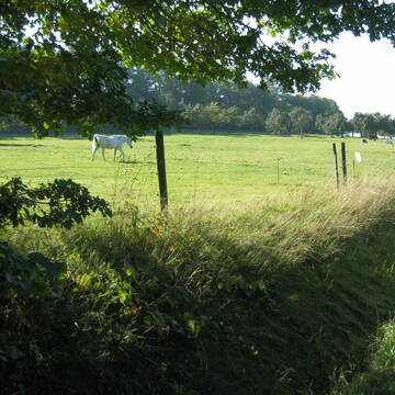 Bild: Stall in  Eppstein