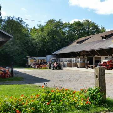 Bild: Stall in  Durlach