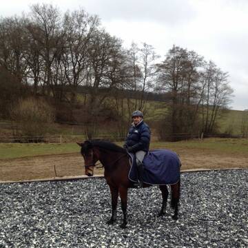 Unser Allwetterreitplatz.