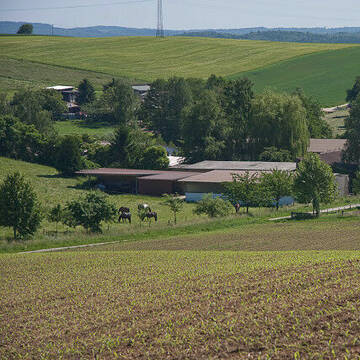 Bild: Stall in  Leimen