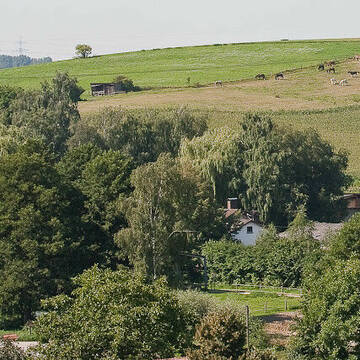 Bild: Stall in  Leimen