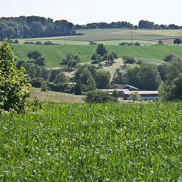 Bild: Stall in  Leimen