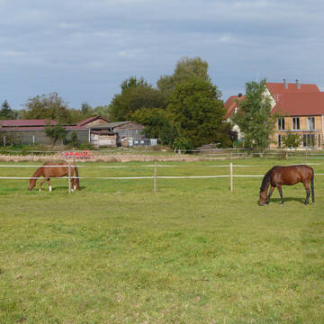 Bild: Stall in  Büchenbach