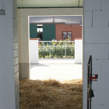 Bild: Stall in  Groß Ippener