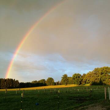 Bild: Stall in  Raisting