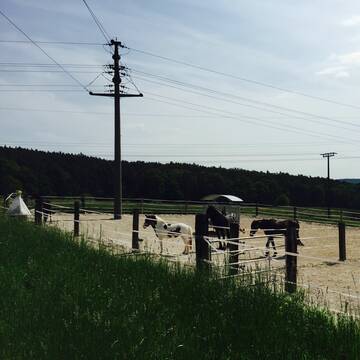 Bild: Stall in  Langenzenn