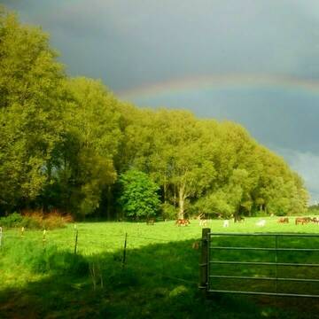 Bild: Stall in  Angermund