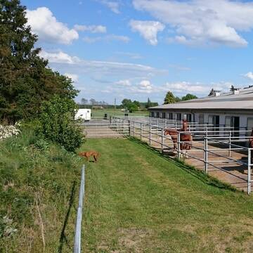 Paddockboxen + angrenzende Einzelpaddocks