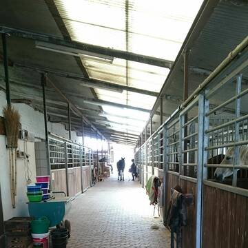 Helle, großzügige Stallgasse