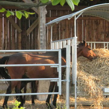 Bild: Stall in  Rheinbach
