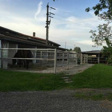 Bild: Stall in  Rheinfelden (Baden)