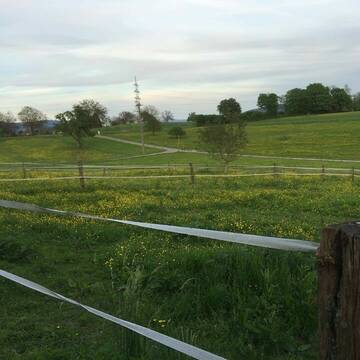 Bild: Stall in  Rheinfelden (Baden)