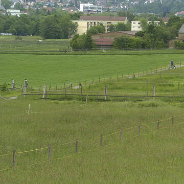 Großzügige Koppeln rund um das Gelände