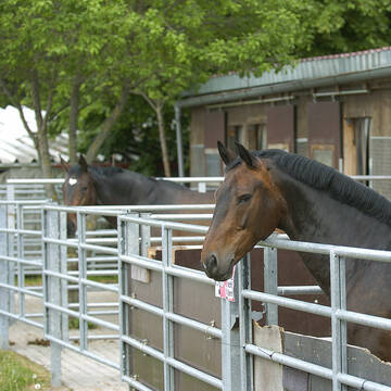 Bild: Stall in  Böblingen