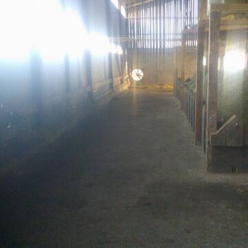 Neugestalteter lichtdurchfluteter Innenbereich