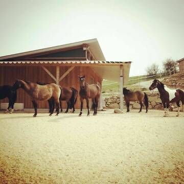 Bild: Stall in  Rettenbach