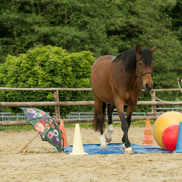 Bild: Service in  Burscheid