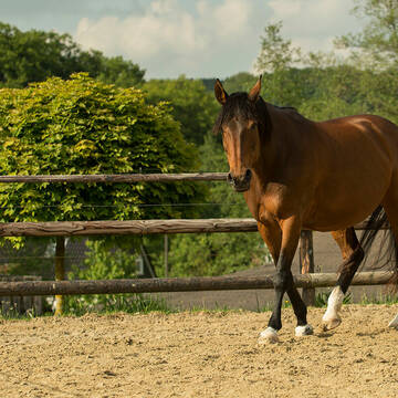 Bild: Service in  Burscheid