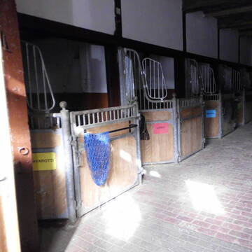 Bild: Stall in  Bissendorf