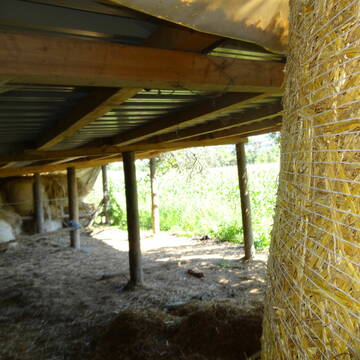 Bild: Stall in  Neckargemünd