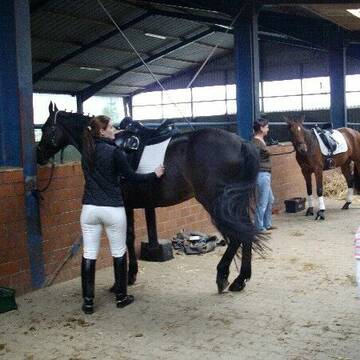 Stallgasse Reithalle