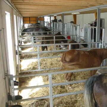 Aktiv Suite - 24h Zugang zu Paddock und Weide