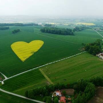 Bild: Stall in  Herford