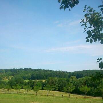 Bild: Stall in  Weil