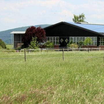 Bild: Stall in  Grafschaft