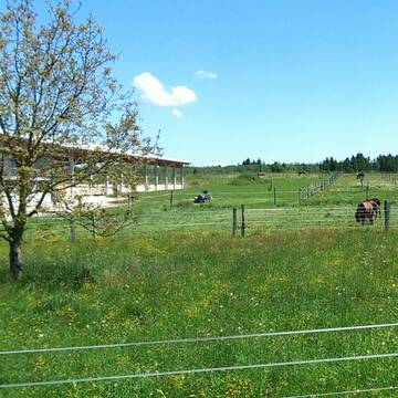 Bild: Stall in  Tuntenhausen