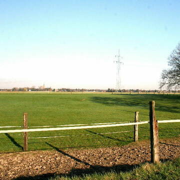 Teil der Weidefläche