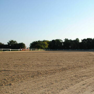 Bild: Stall in  Sturenhagen