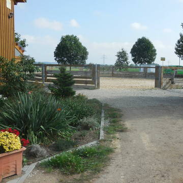 Longierzirkel mit neuen Boden