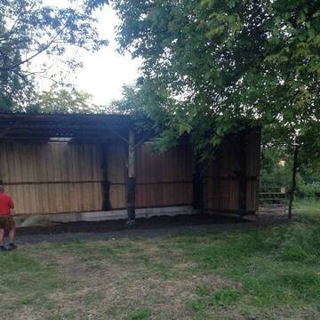 Bild: Weide in  Rheinfelden (Baden)