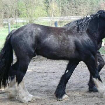 Bild: Service in  Nuthetal