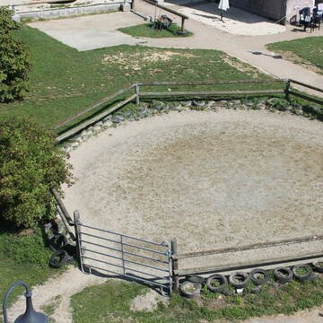 Roundpen / Longierzirkel