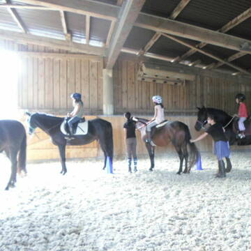 Bild: Stall in  Bühl