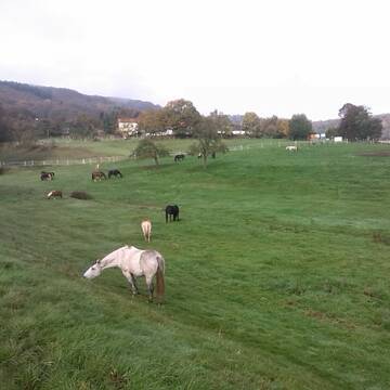 Bild: Stall in  Biebertal