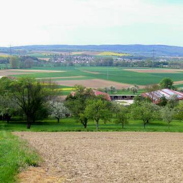 Bild: Stall in  Zuzenhausen