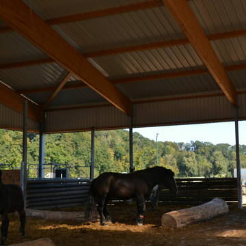 Bild: Stall in  Werden